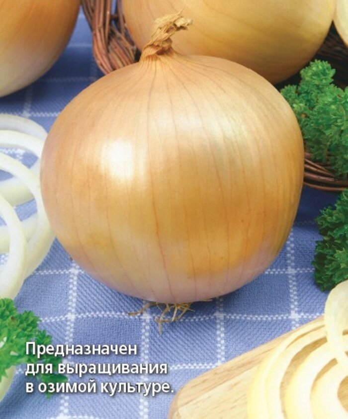 Семена Лук репчатый Агро озимый