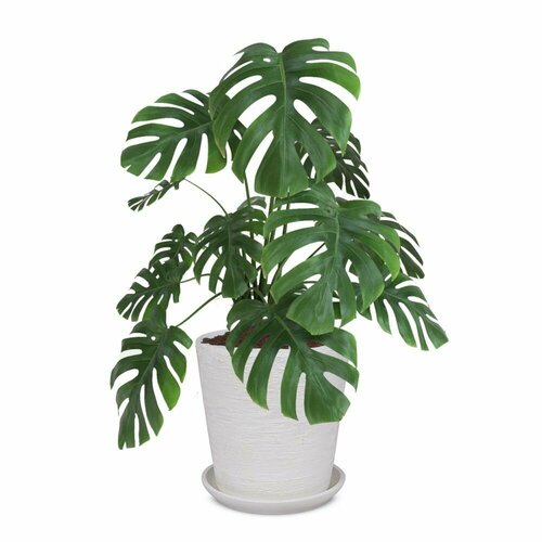 Горшок керамический Лофт белый d22 см h22,5 см 5,6 л