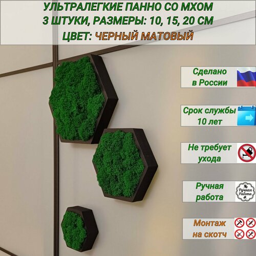 Декоративное панно на стену со стабилизированным мхом, декор для дома 