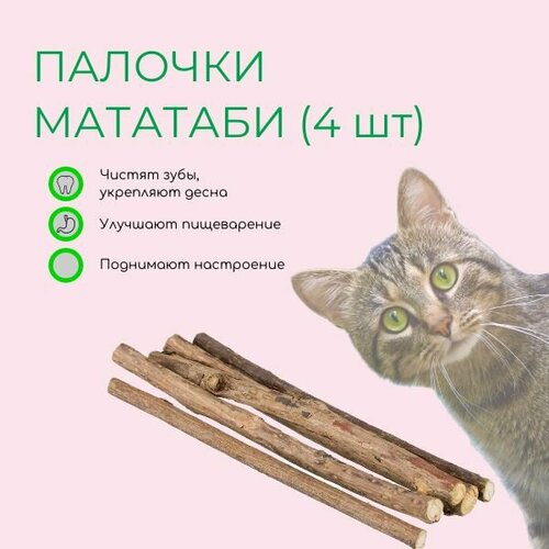 Интерактивная игрушка лакомство дразнилка для чистки зубов и улучшения десен кошек и котят, мятные палочки мататаби 4 шт. , трава для питомцев из натурального японского дерева