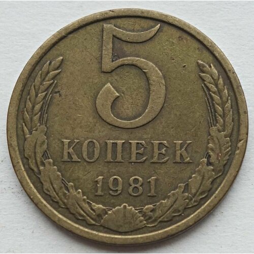 Монета 5 копеек 1981 СССР из оборота