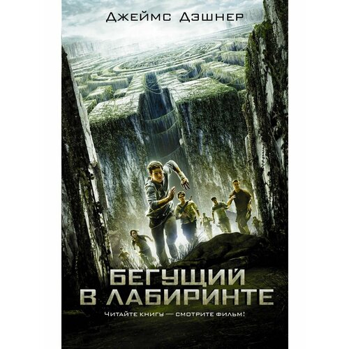 Бегущий в Лабиринте кайго бай тирг в лабиринте