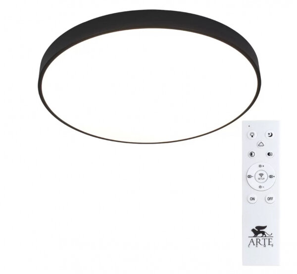 Потолочный светодиодный светильник Arte Lamp ARENA A2673PL-1BK