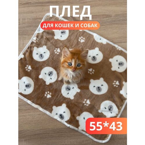 Плед-подстилка флисовый 55×35 см/ подстилка в лежанку для собак, кошек, животных мелких пород, щенков, котят/плед, покрывало, одеяло для животных