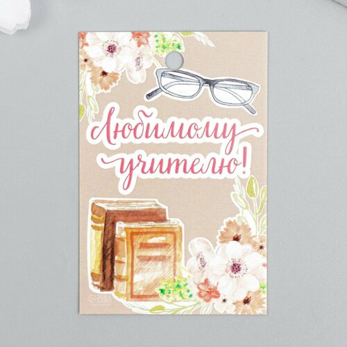 Бирка Учителю 4х6 см 445₽