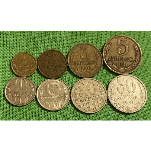 Набор монет СССР 1981 год 1,2,3,5,10,15,20,50 копеек, из обращения