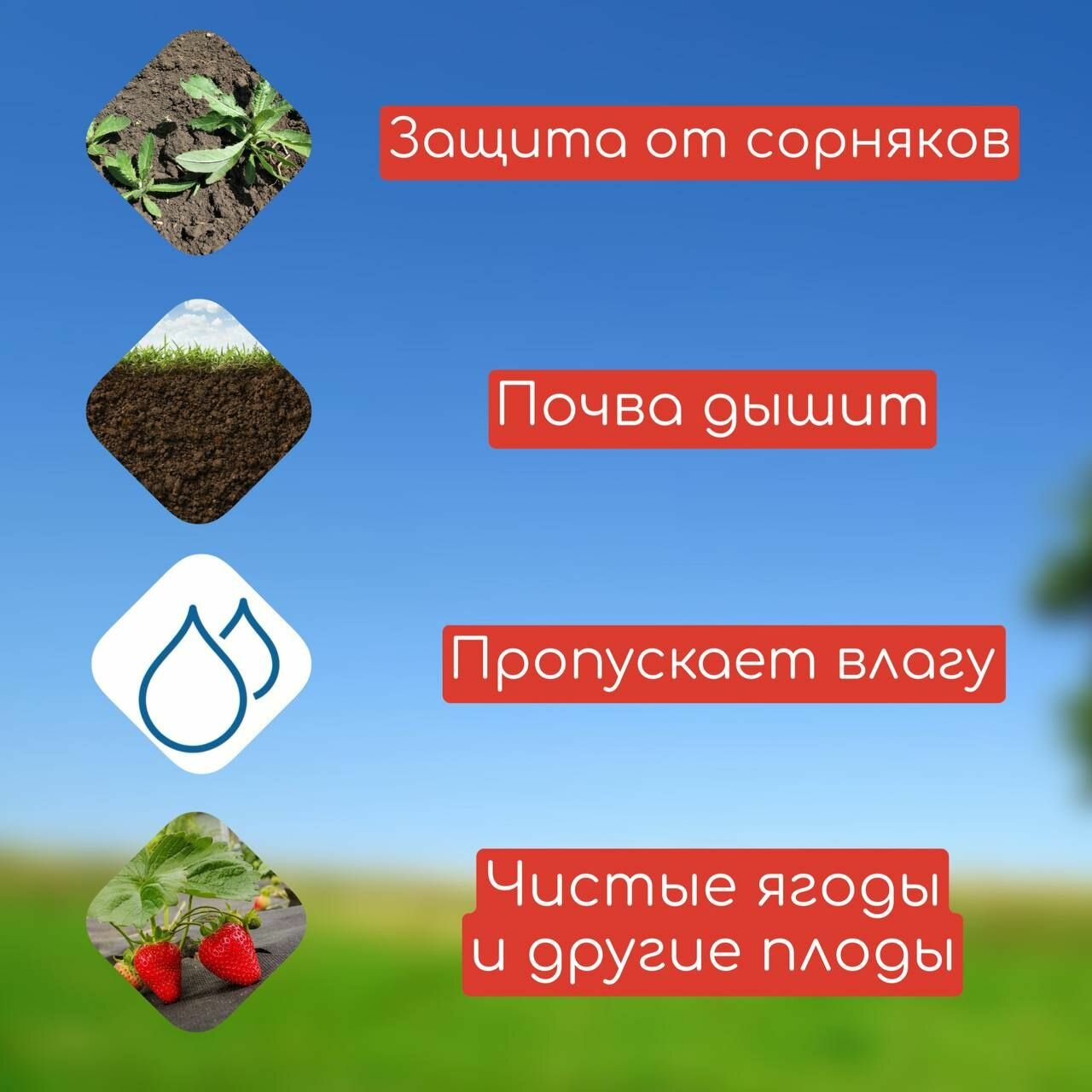 Приствольный круг из спанбонда диаметр 40 см 10 шт/ Укрывной, мульчирующий материал/ Защита стволов кустарников и деревьев