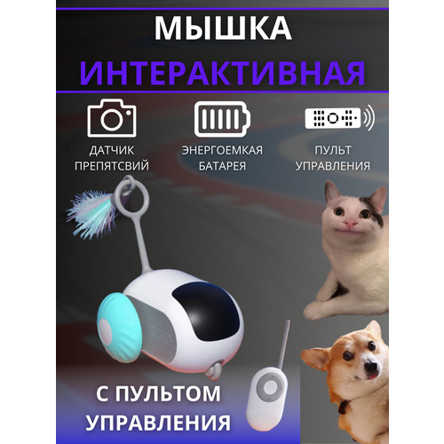 Мышь на пульте для кошек и животных, интерактивная