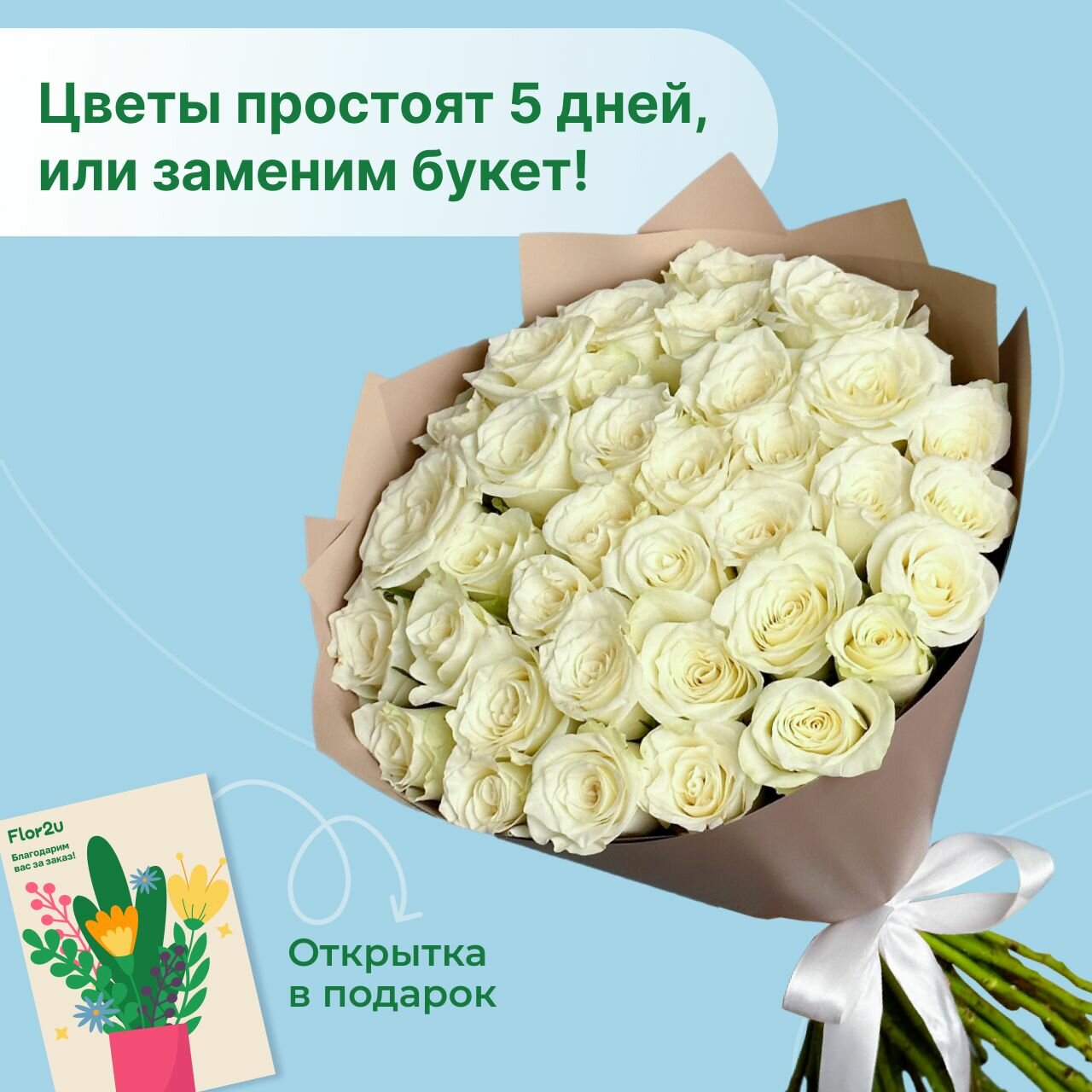 Цветы живые букет из 31 белой розы 40 см в упаковке Flor2u