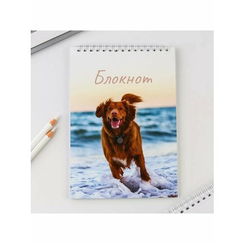 Блокнот А5 на гребне 40 л Собака 486₽
