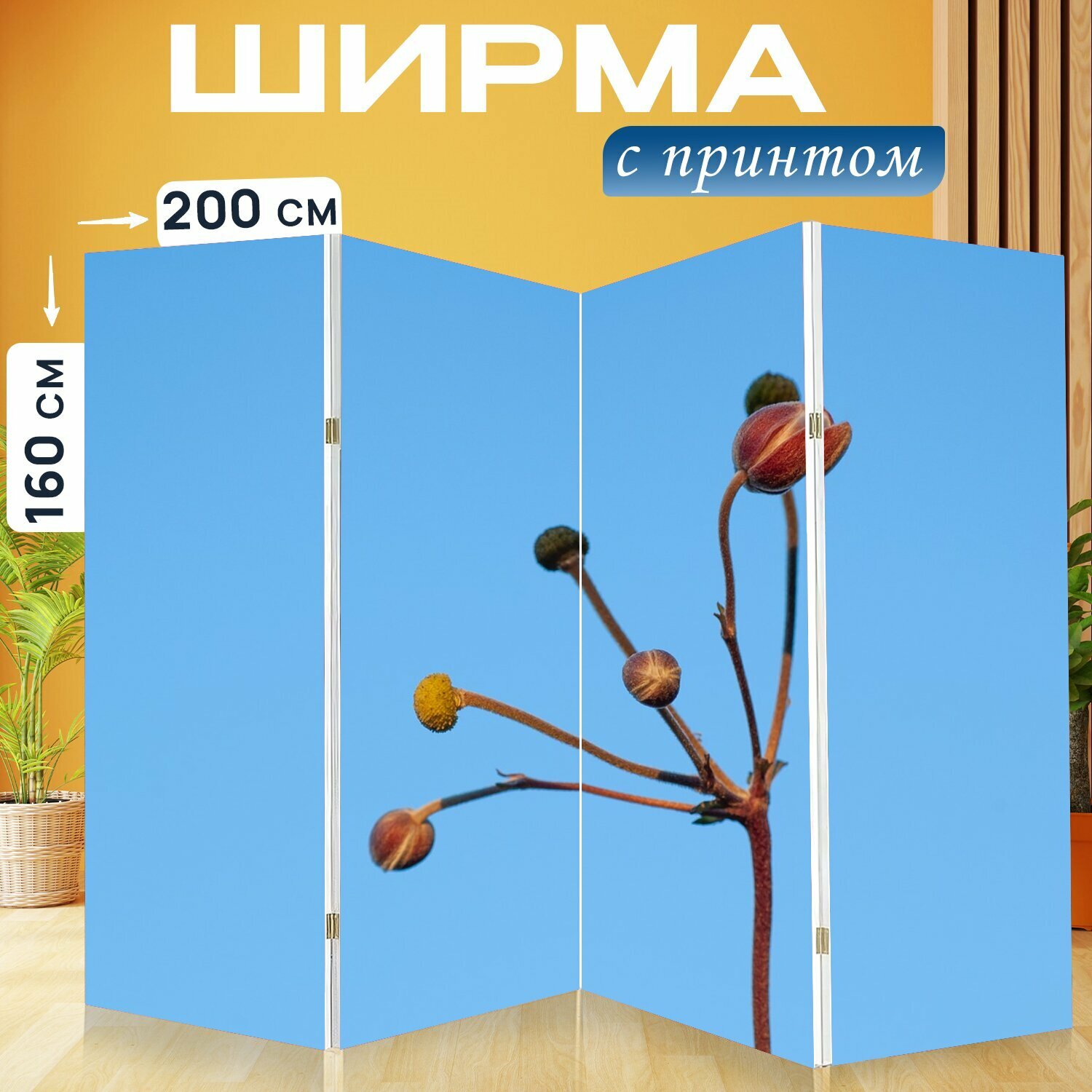 Ширма "Осень анемона, бутон, зонтик" раскладная перегородка для зонирования с принтом на холсте