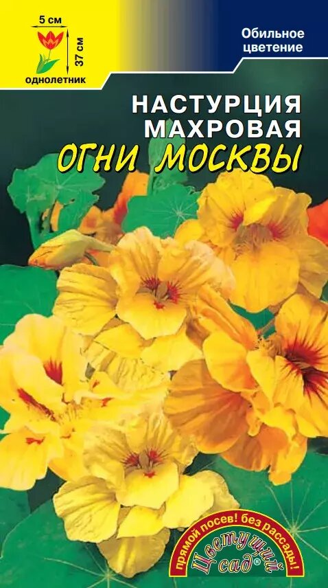 Семена Настурция Абрикос махровая Цветущий сад