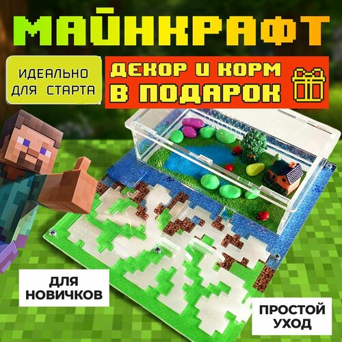 Муравьиная ферма ВСЕ включено "Майнкрафт" Формикарий для муравьев
