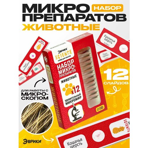 фото Набор микропрепаратов "эврики" для детей от 4-х лет
