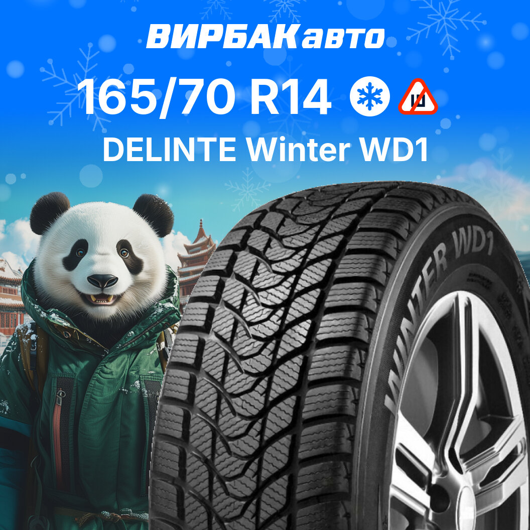 Зимние шины Delinte Winter WD1 165/70R14 81T