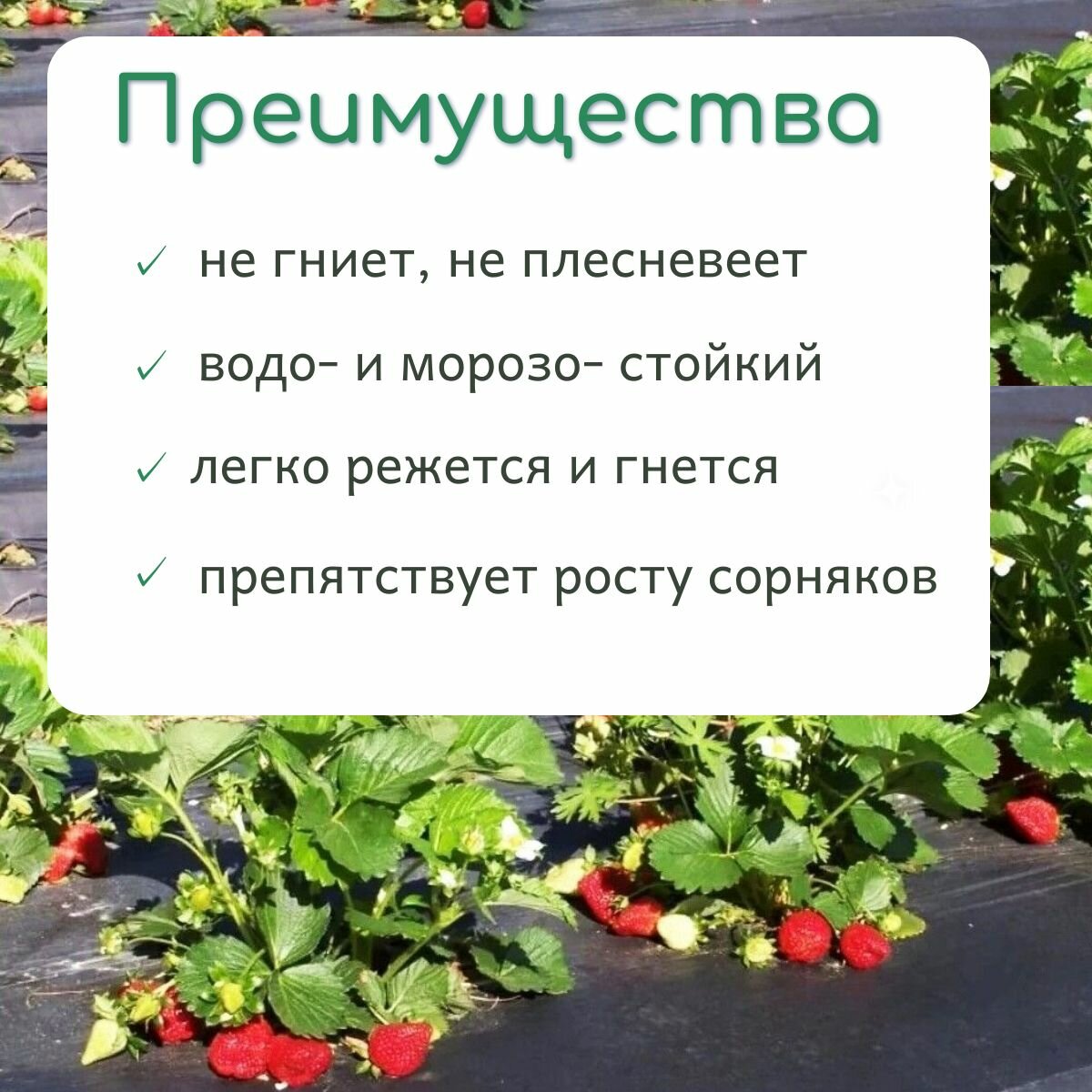 Геотекстиль садовый от сорняков 1,6х5м, плотность 130 г/м2, агроткань, укрывной материал — фото 1
