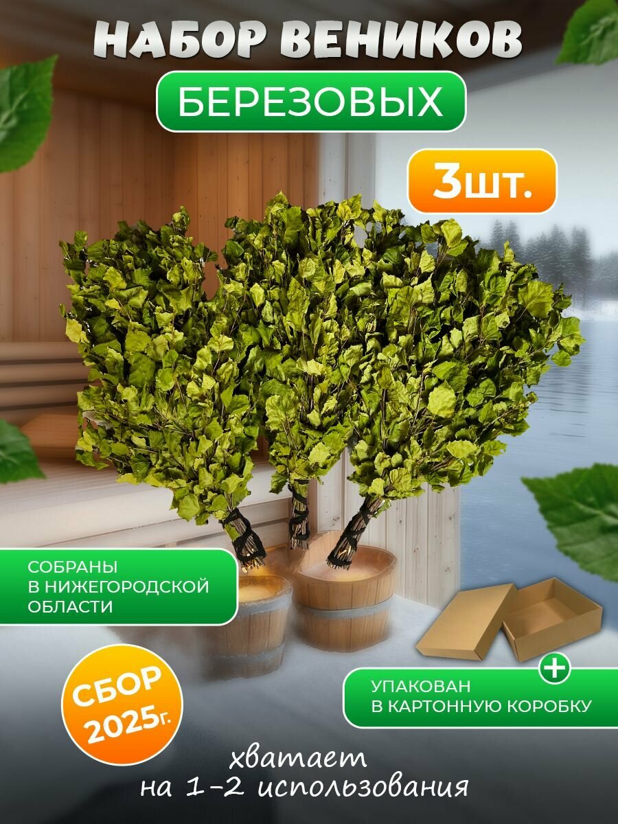 Набор для бани: высушенные берёзовые веники (3 штуки) в надёжной упаковке