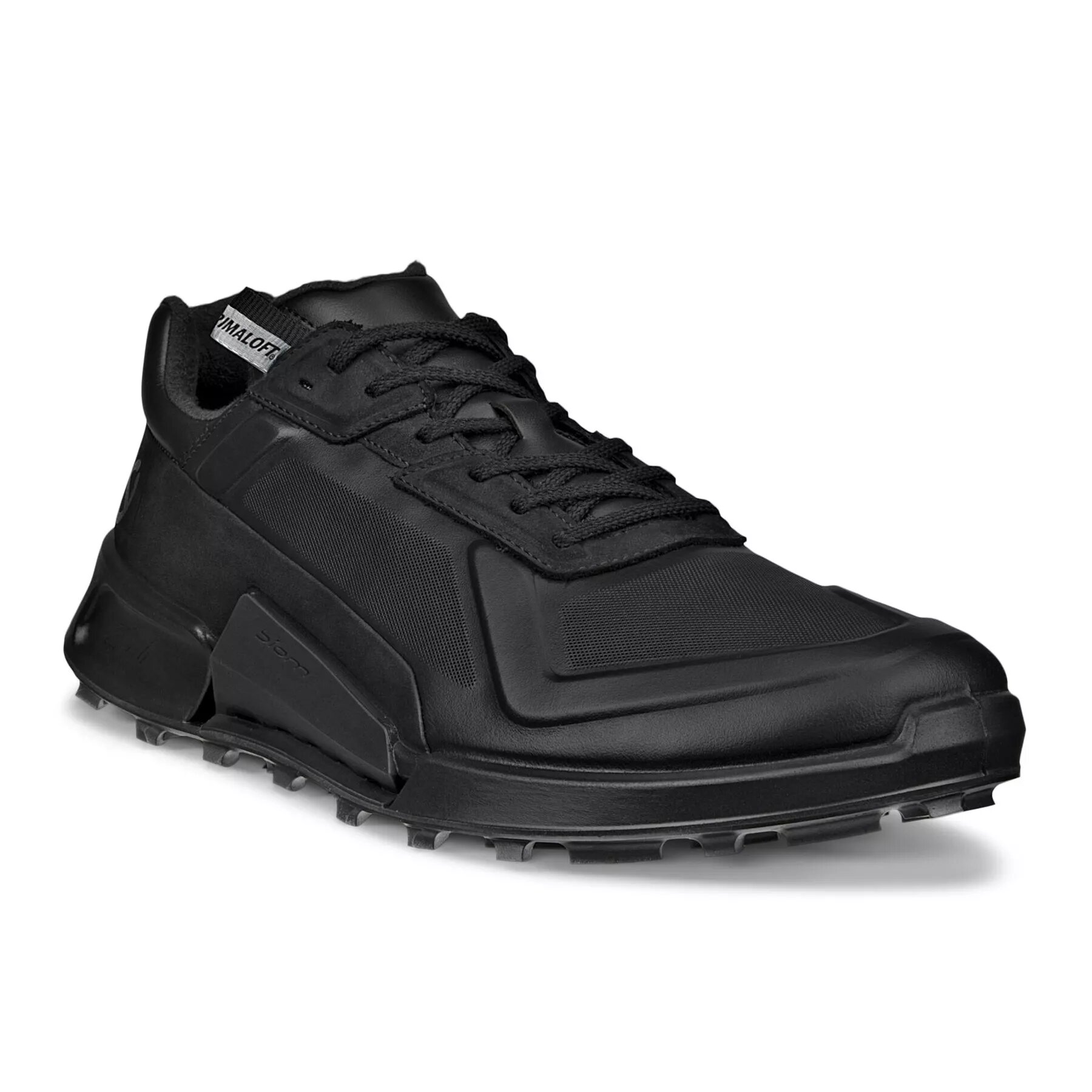 Кроссовки ECCO BIOM 2.1 X MOUNTAIN M, размер 39, черный