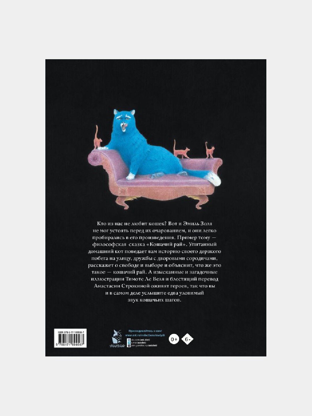 Кошачий рай — фото 1