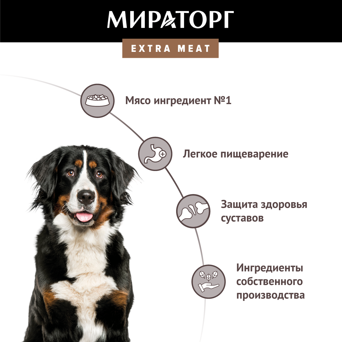 Сухой корм для собак Winner Black Angus с говядиной для крупных пород 10кг - фото №3