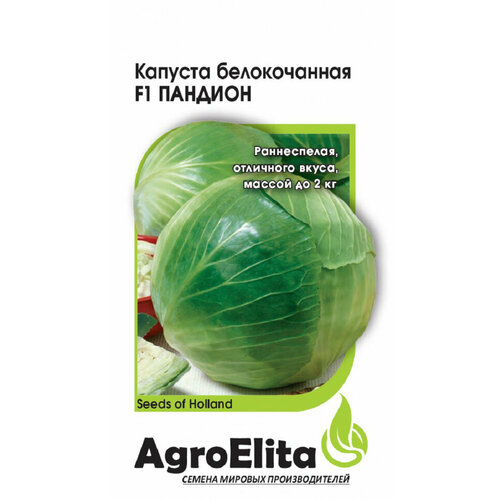 Семена Капуста белокочанная Пандион F1, 10шт, AgroElita, Seminis семена капуста белокочанная атрия f1 10шт agroelita seminis 3 упаковки