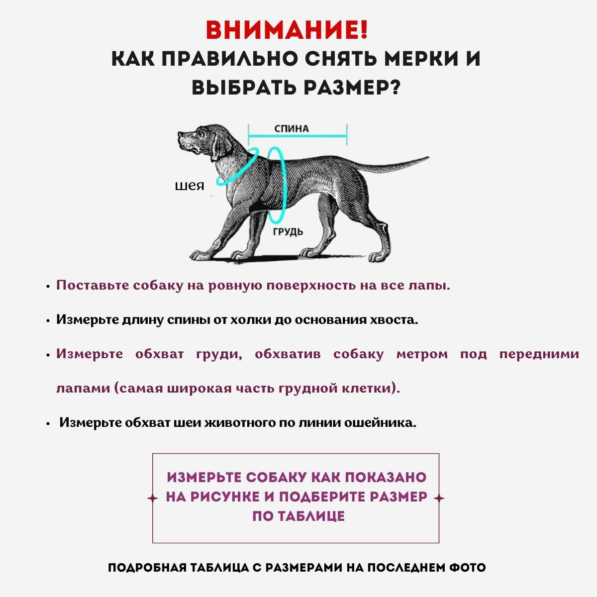 Зимний комбинезон для собак мелких и средних пород - фотография № 6
