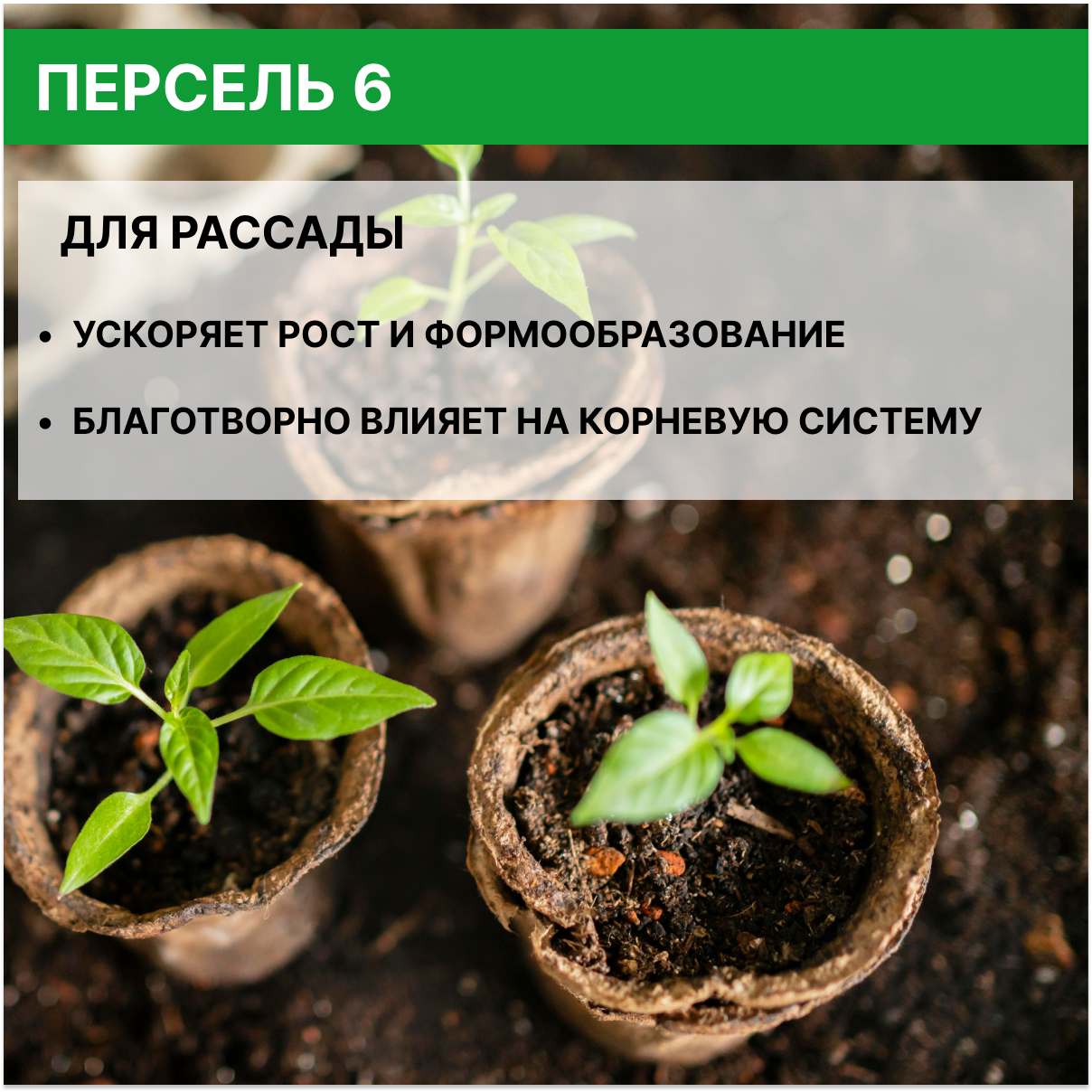 Универсальное дезинфицирующее средство для теплиц Персель 6, 2 шт по 1 л - фотография № 6