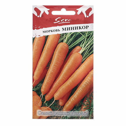 Семена Морковь Миникор, ц/п, 2 г семена морковь самсон ц п 0 5 гр