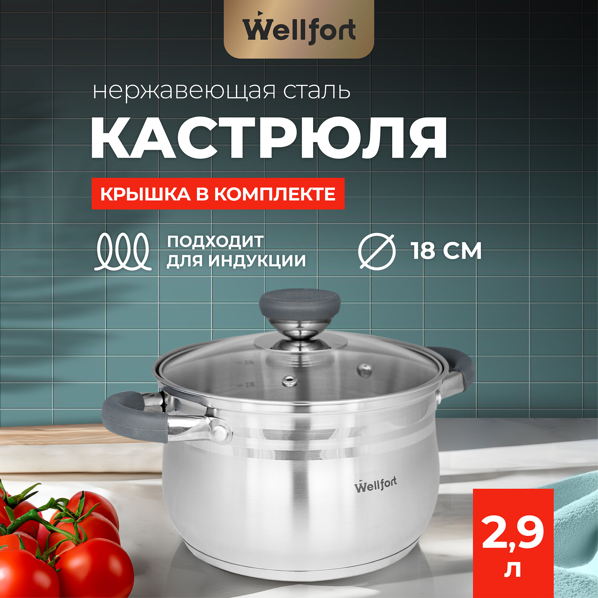 Кастрюля из нержавеющей стали "Harmony Wellfort" объемом 2,9 литра