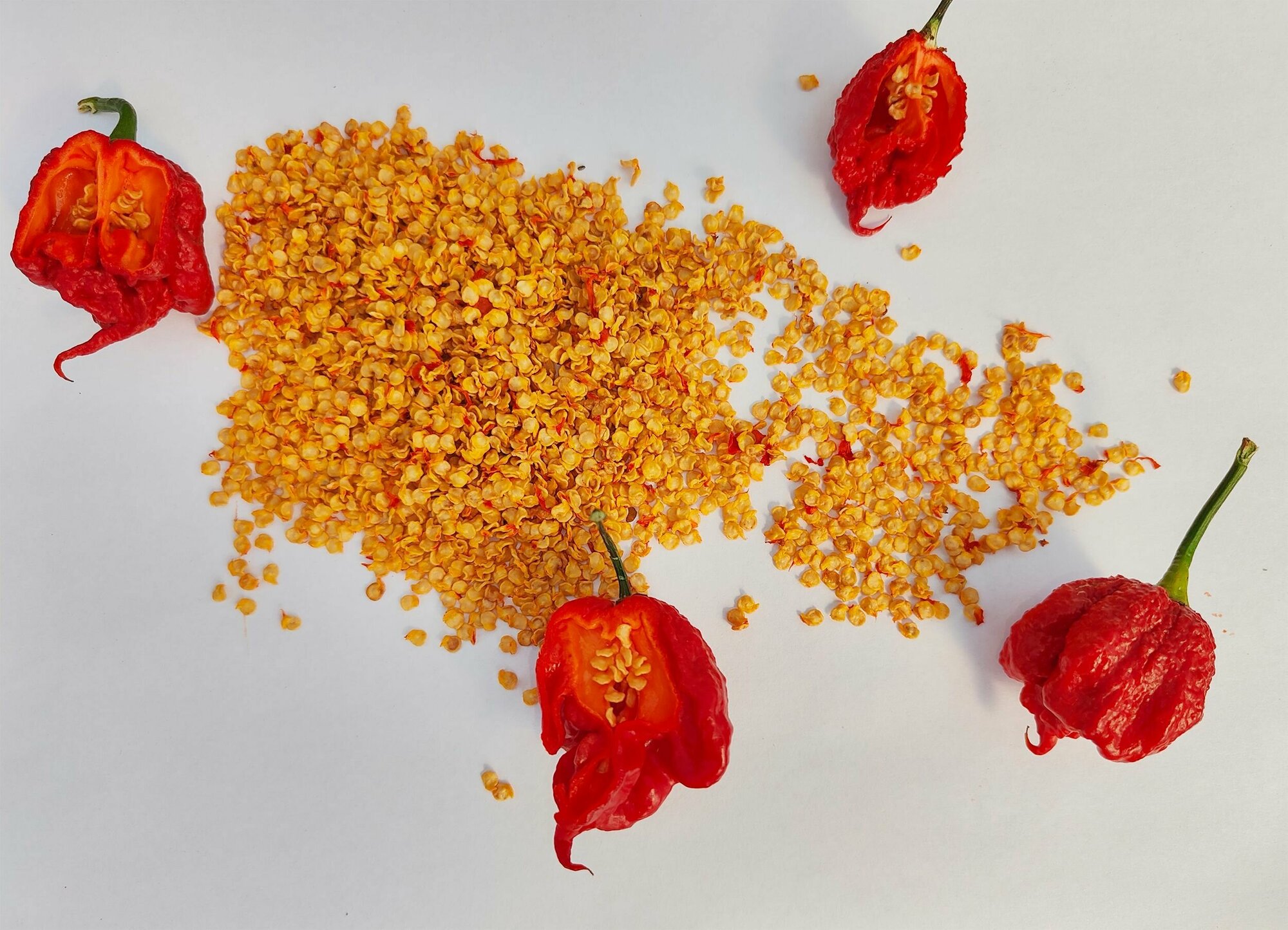 Семена Каролина Рипер - 10 шт. / Семена самого острого перца в мире Carolina Reaper red — фото 1