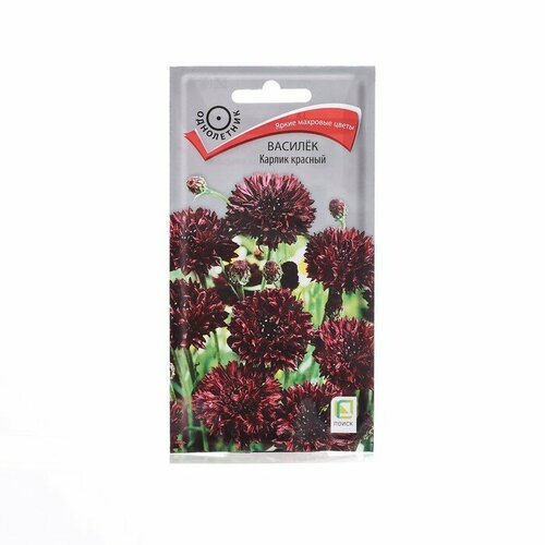 Семена цветов Василёк Карлик, красный, 0,1гр. семена базилика рубиновый карлик