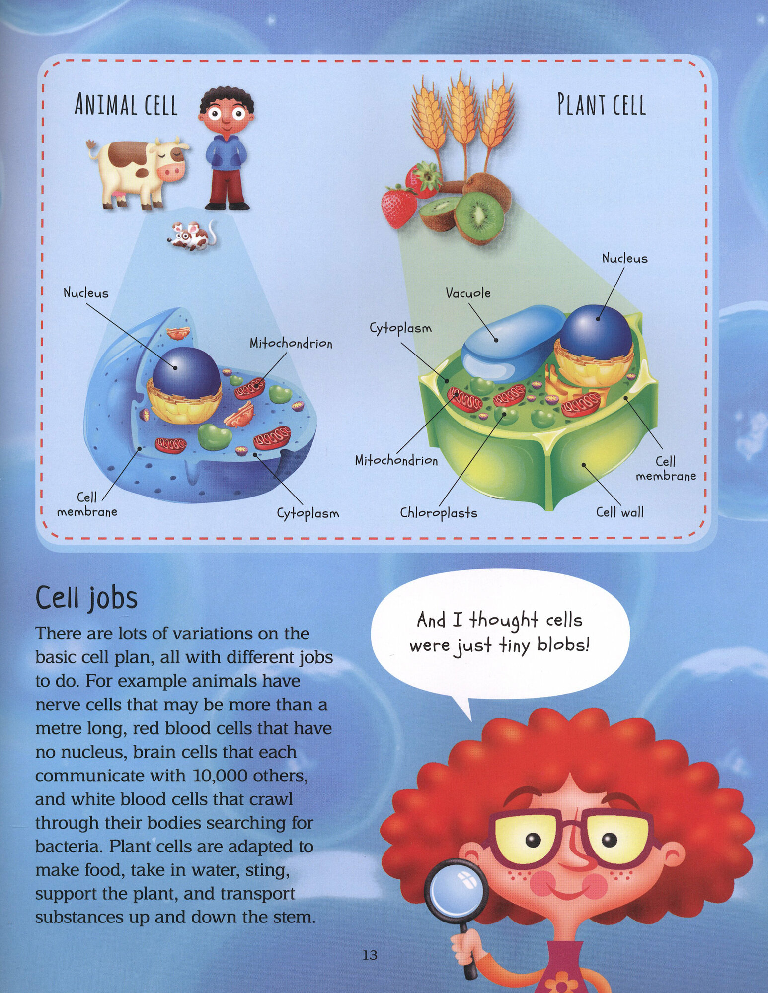 A Beginner’s Guide to Life on Earth - фото №3