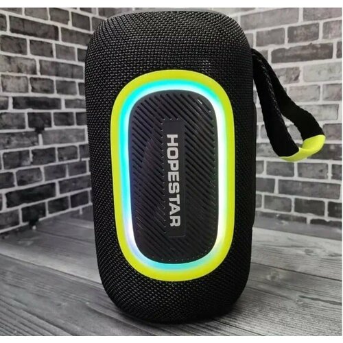 Беспроводная колонка HOPESTAR P65 20W черный 317000₽