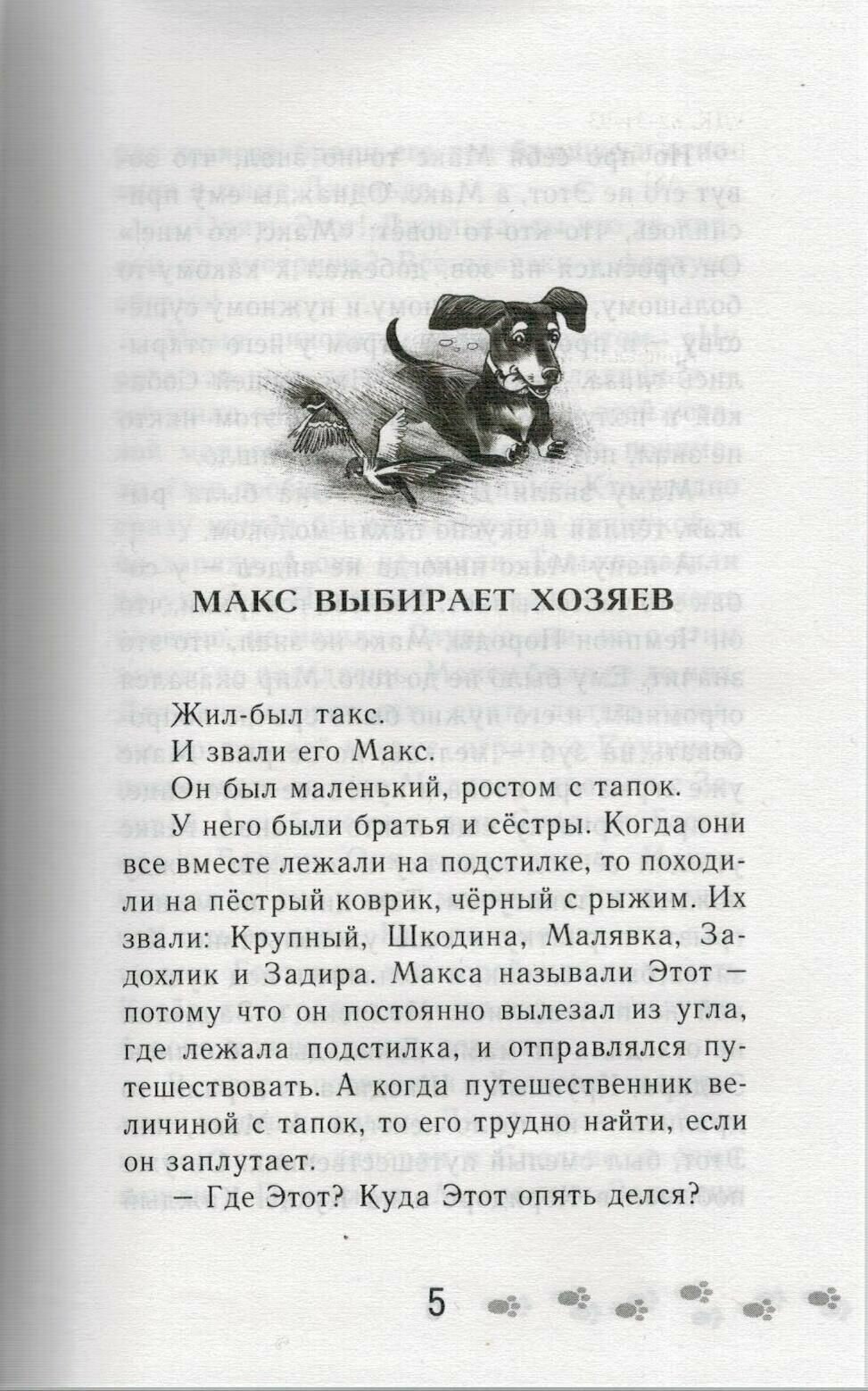 Жил-был Такс (Арифуллина Е. Ю.) - фото №4