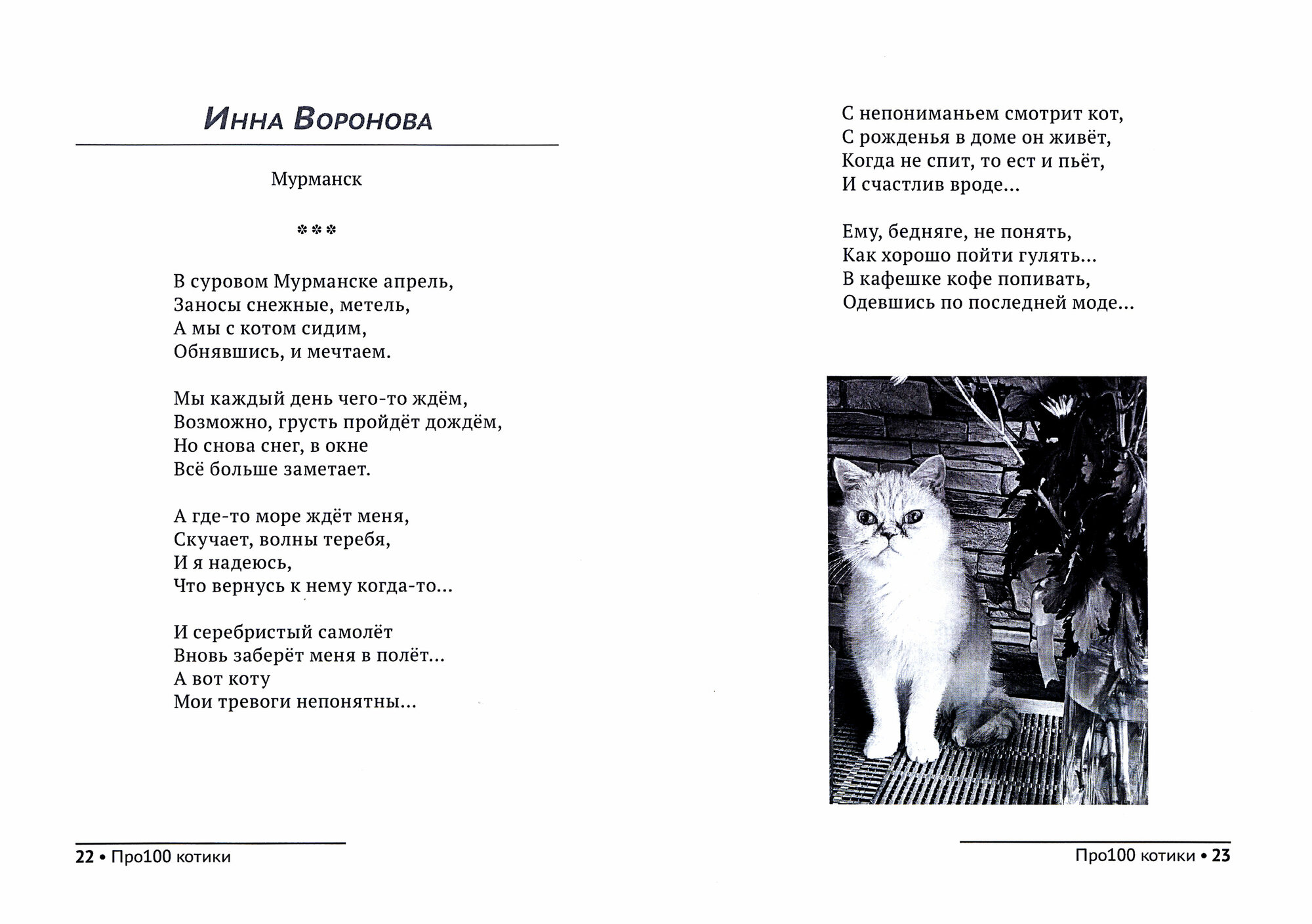Про100 котики. №1 (Рущак Ю.И. (редактор), Соседко М.В. (редактор)) - фото №2