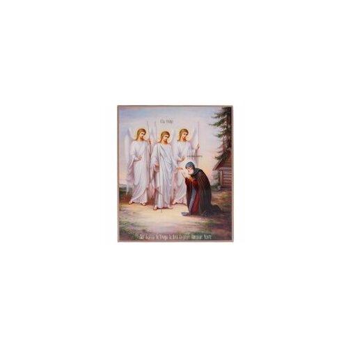 икона александр свирский размер 14 х 19 см Икона Александр Свирский с Троицей 18х22 #155502