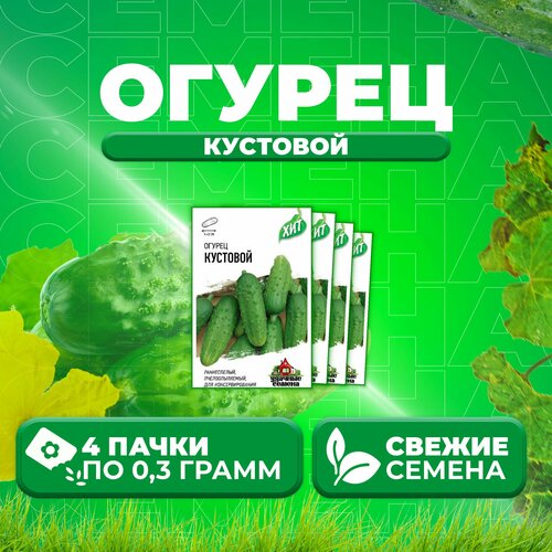 Огурец Кустовой, 0,3г, Удачные семена, серия ХИТ (4 уп)