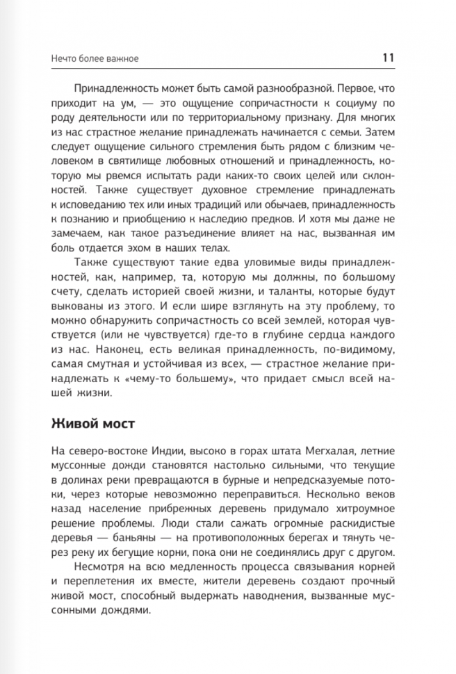 Чужая жизнь. Мистические практики для обретения самого себя - фото №6