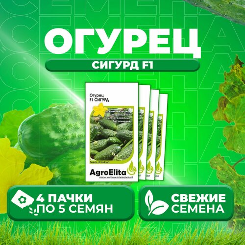 Огурец Сигурд F1, 5шт, AgroElita, Enza Zaden (4 уп) огурец гуннар f1 5шт agroelita enza zaden 5 уп