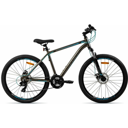 AIST Rocky 10 Disc 2024 серыйсиний 13 2690000₽