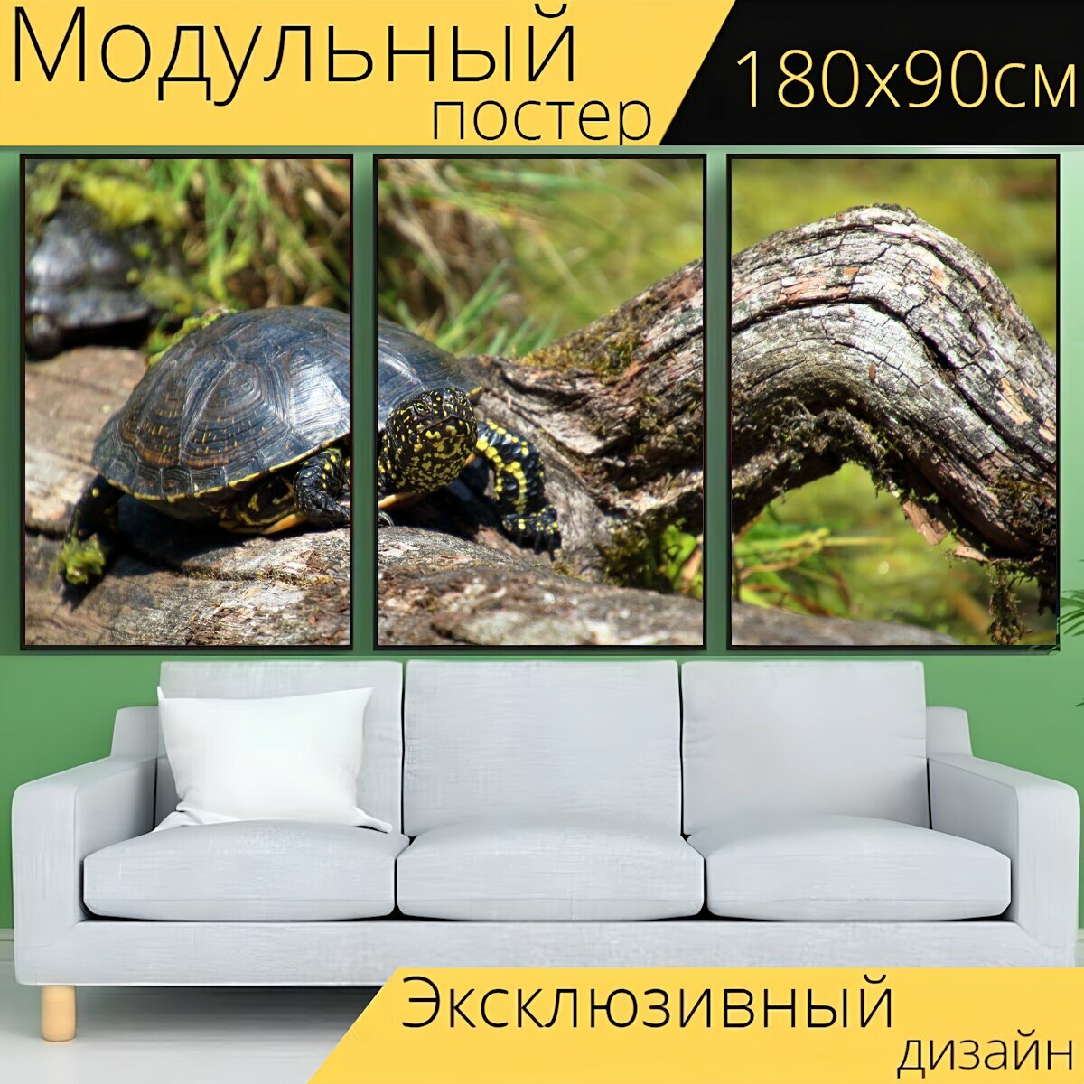Модульный постер "Воды черепаха, чернить, ствол дерева" 180 x 90 см. для интерьера