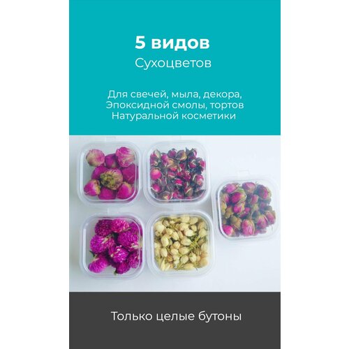 Сухоцветы набор 5 видов