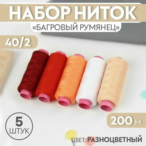 Набор ниток Багровый румянец 402 200 м 5 шт цвет разноцветный 650₽