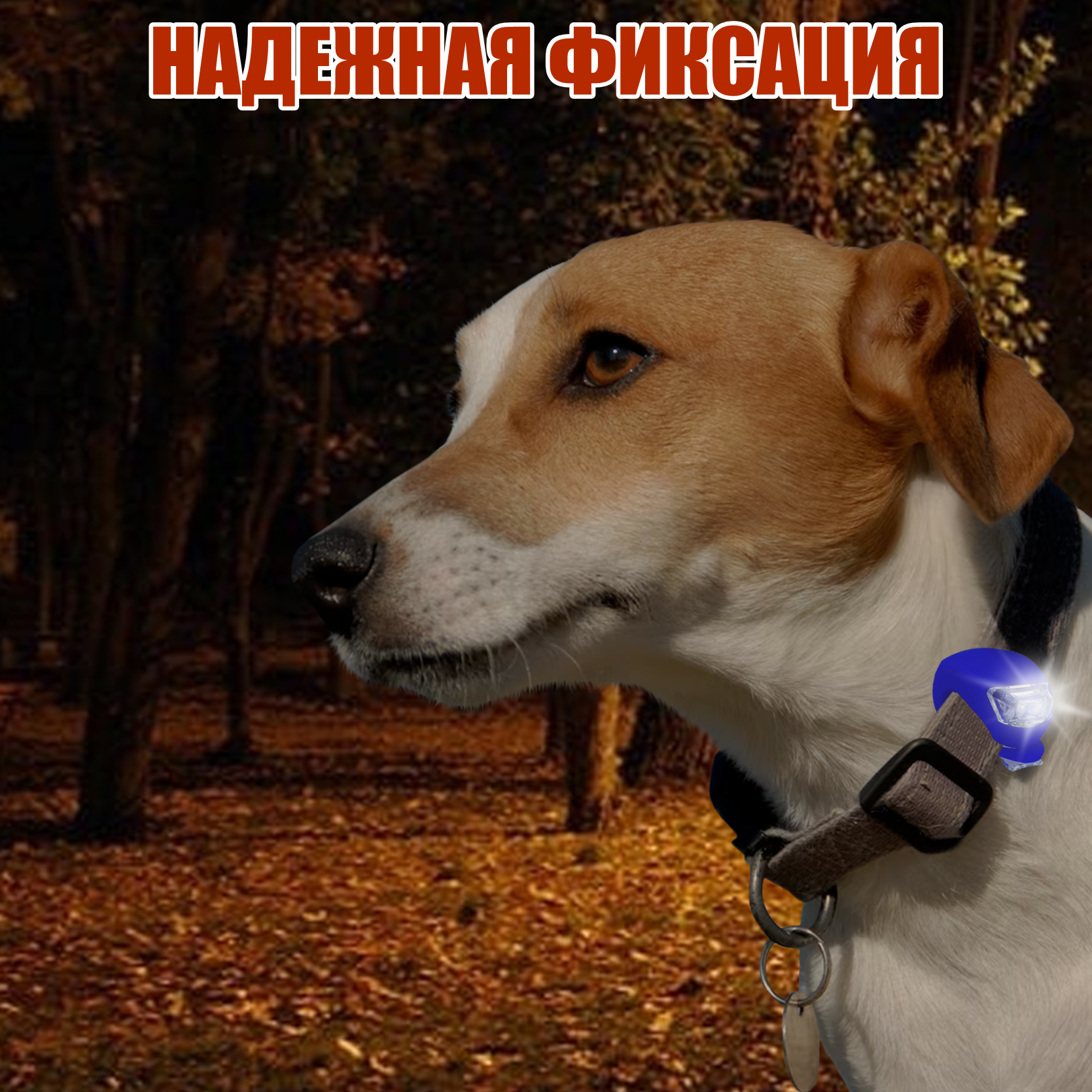 Светящийся маячок синий, брелок на ошейник собак животных — фото 1