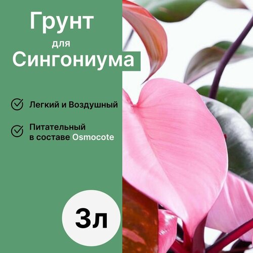 Грунт для Сингониума 3л / Бионика