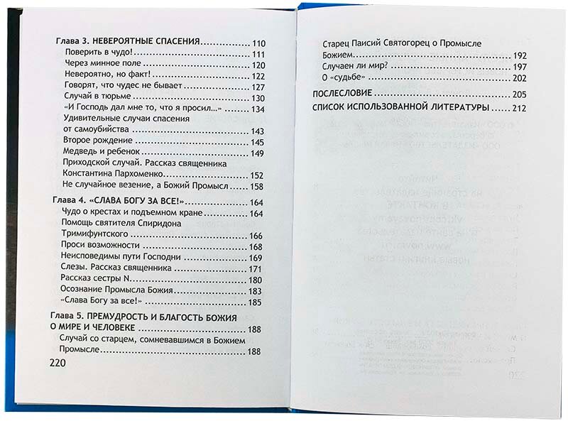 Неслучайные "случайности". Новые истории о Промысле Божьем - фото №11