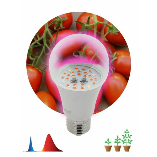 ЭРА Фитолампа для растений светодиодная FITO-10W-RB-E27 красно-синего спектра Б0050600 (68 шт.) комплект 3 штук фитосветильник для растений светодиодный эра fito 10w rb e27 б0050600