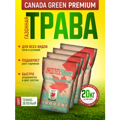 Газонная трава семена Канада Грин Премиальная 20кг / Канада Грин Premium 20кг / семена газона райграс, мятлик, овсяница