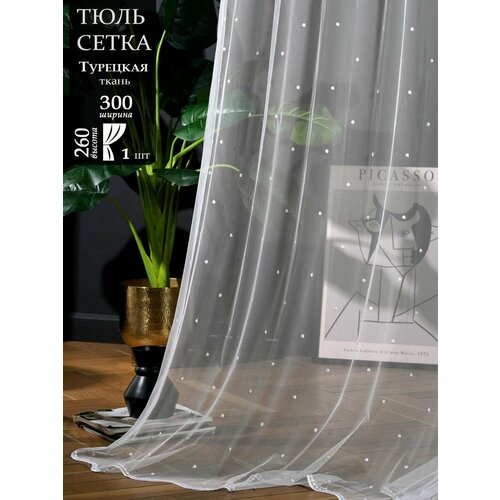 Тюль для комнаты и кухни с вышивкой высота 260 см, ширина 300 см, крепление - лента, цвет - белый.