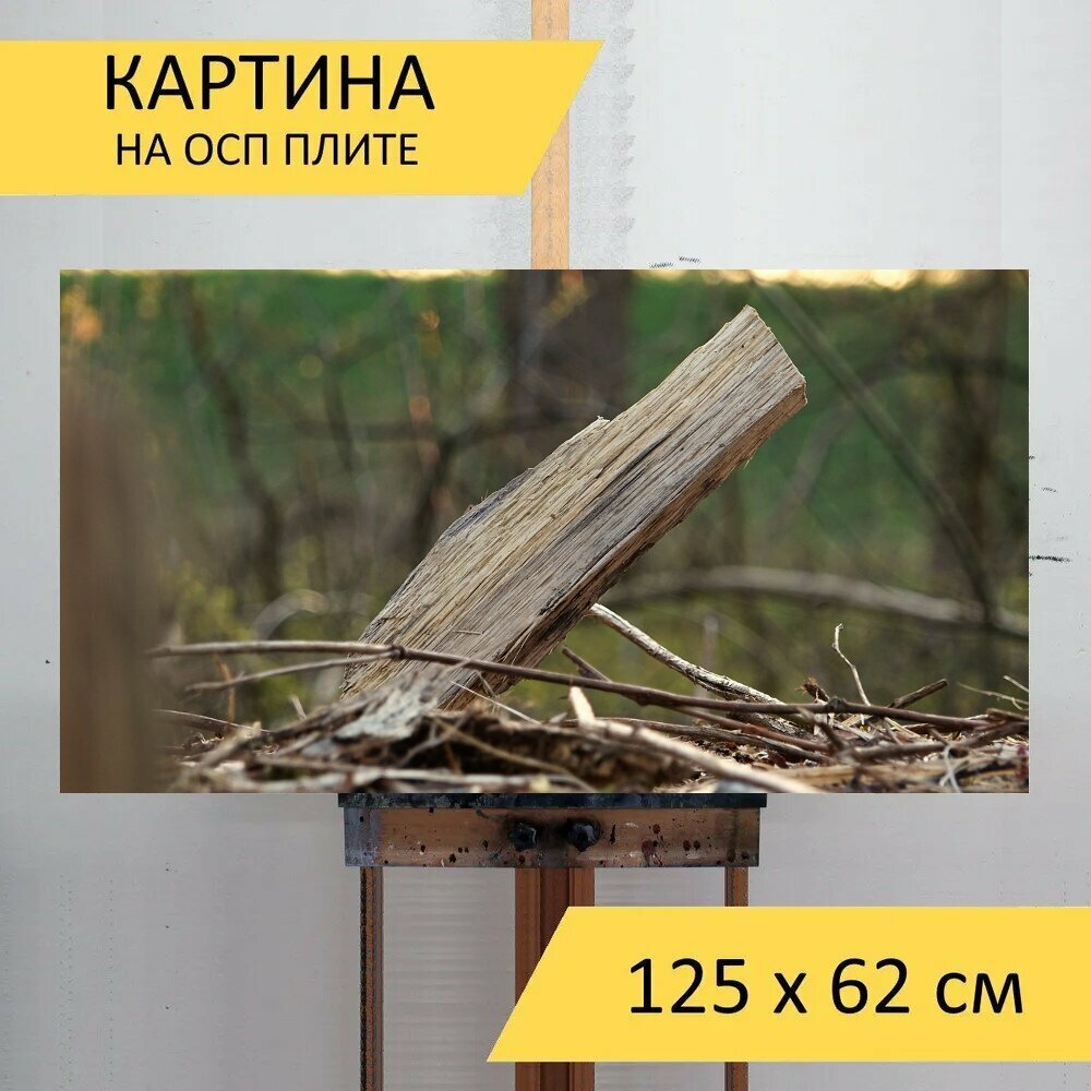 Картина на ОСП "Древесина, клин, лес" 125x62 см. для интерьера на стену